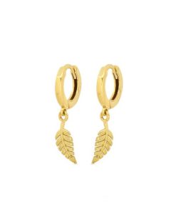 Davidmira.shop04f5c9fda6 1